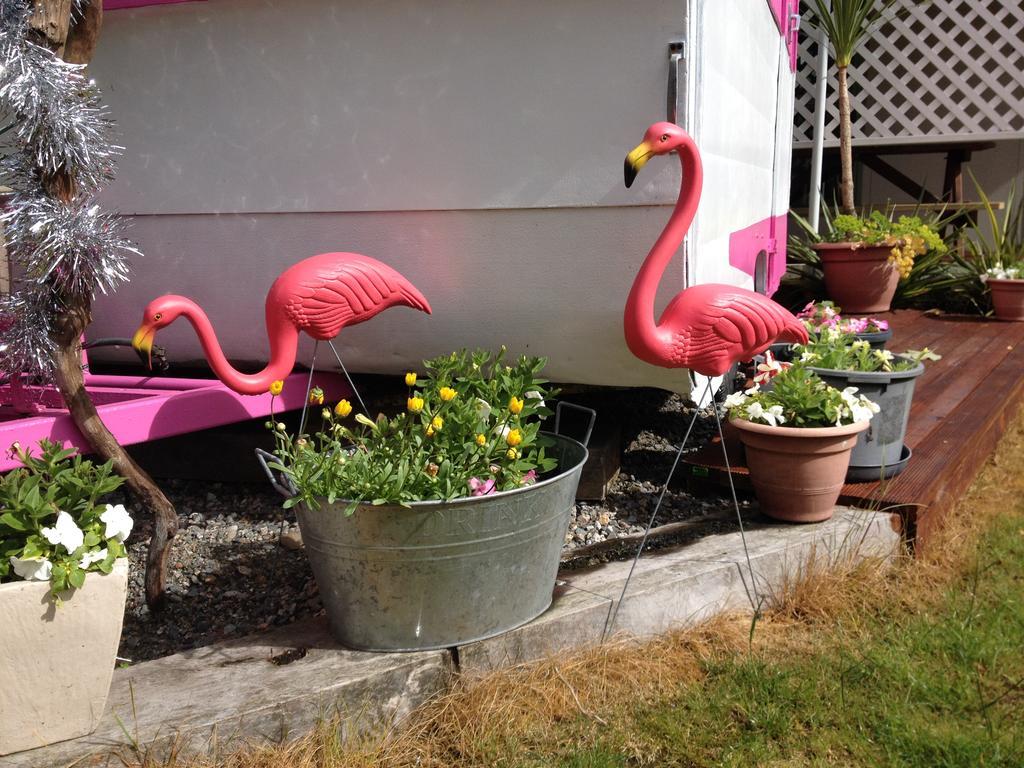Tripinn Modern Motels & Affordable Accommodation ウェストポート 部屋 写真